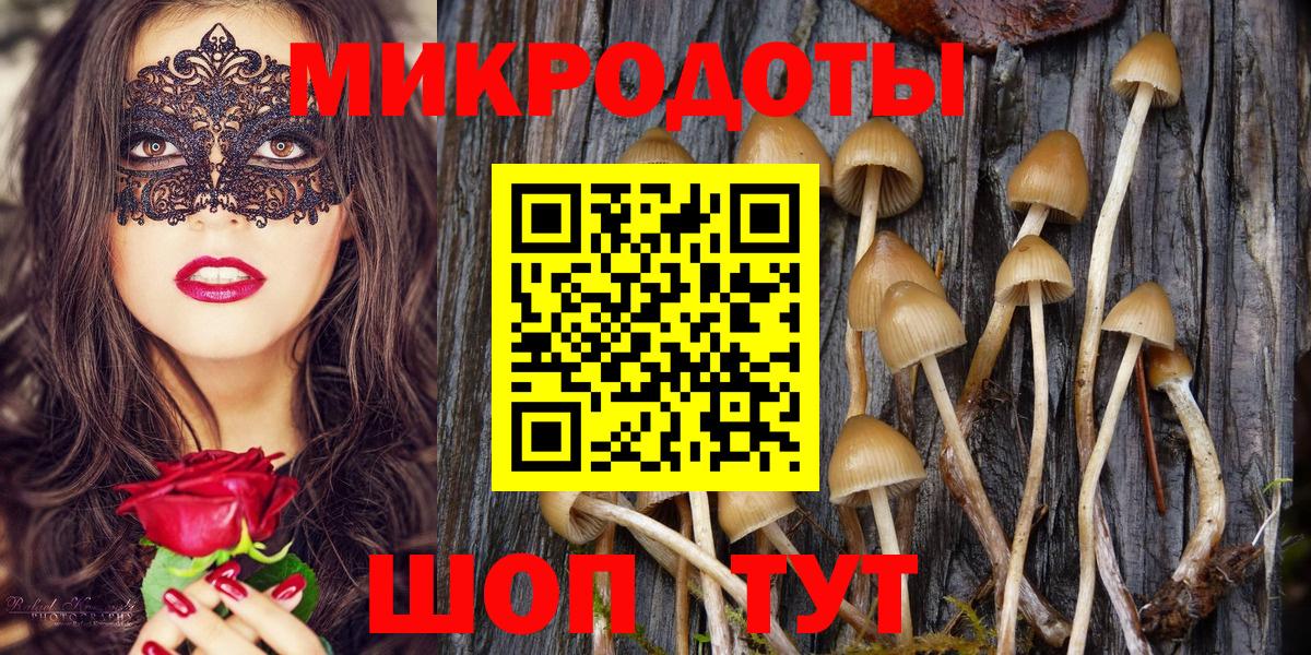 Ессентуки  Псилоцибиновые грибы Psilocybine cubensis  дарнет шоп  Вход с VPN 