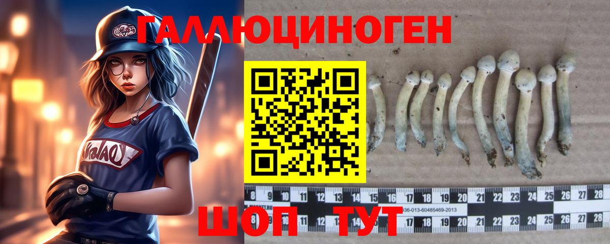 Псилоцибиновые грибы MAGIC MUSHROOMS Ессентуки
